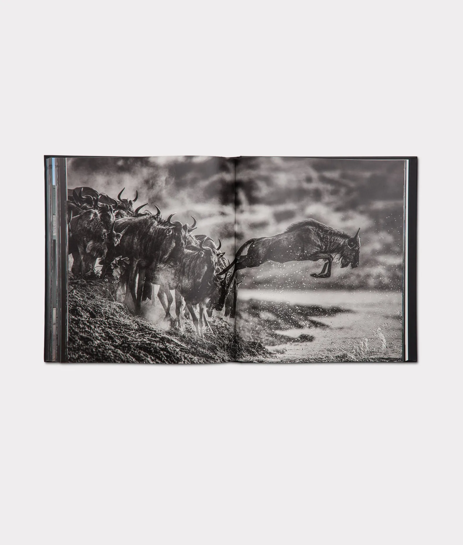 Women Lucchese Books|Books*David Yarrow Story Telling Book
