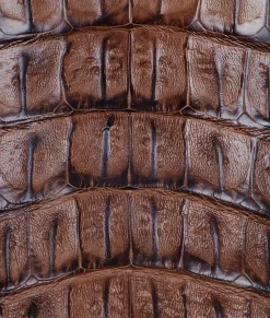 BOY Lucchese Horseman|Cowboy*Fisher