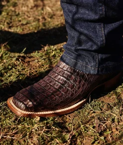 BOY Lucchese Horseman|Cowboy*Fisher