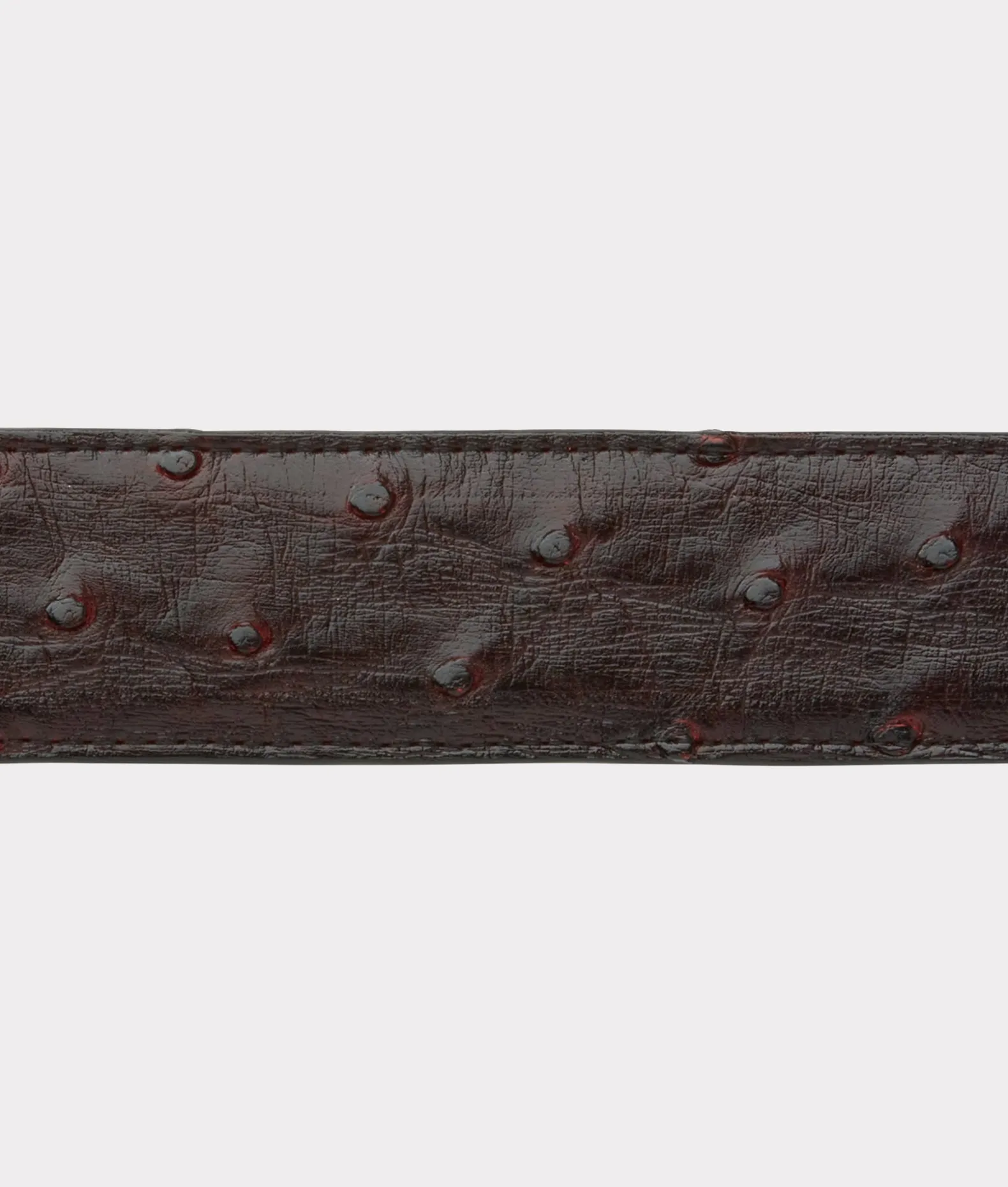 Lucchese Belts & Belt Accessories*Full Quill Ostrich