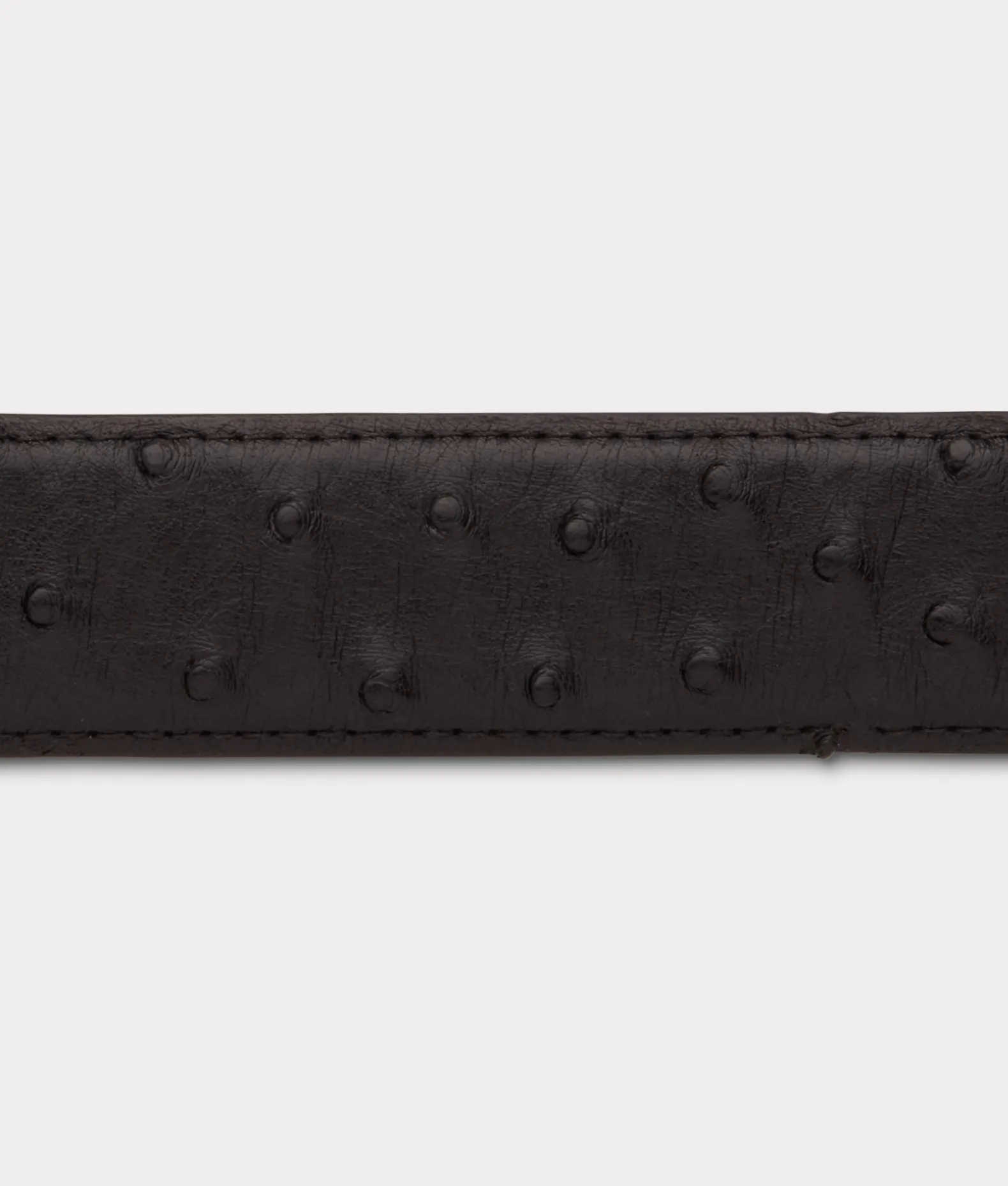 Lucchese Belts & Belt Accessories*Full Quill Ostrich