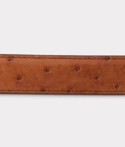 Women Lucchese Belts|Belts & Belt Accessories*Full Quill Ostrich Tapered