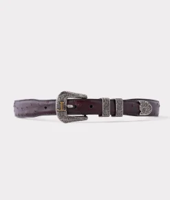 Women Lucchese Belts|Belts & Belt Accessories*Full Quill Ostrich Tapered