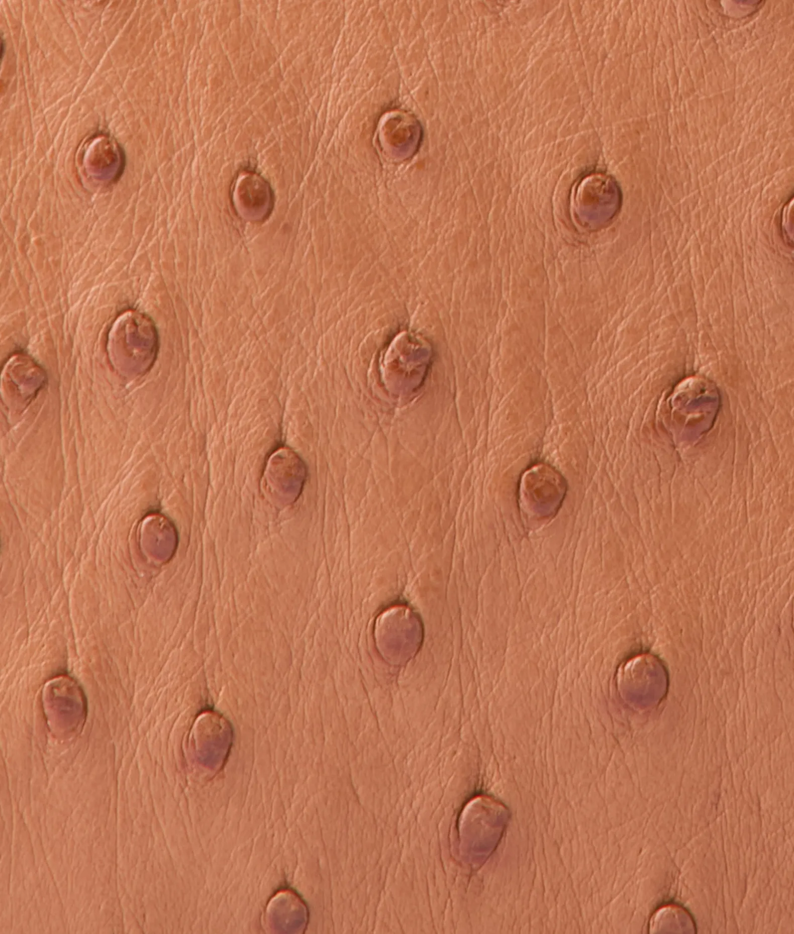 Women Lucchese Handbags*Joni Exotic Baguette