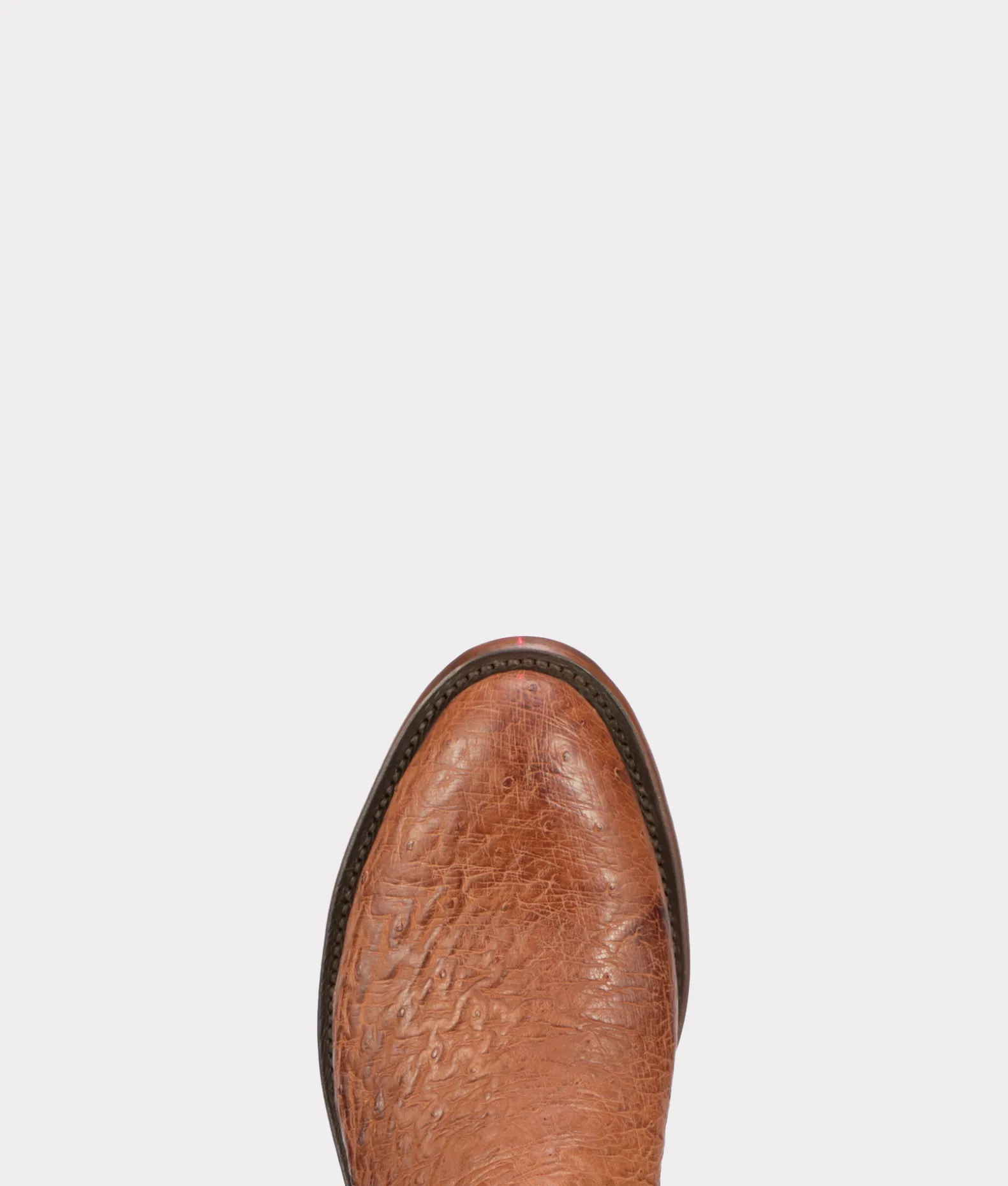 BOY Lucchese Roper|Cowboy*Sunset Exotic